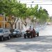 novelda-agricultores-ayuda-desinfeccion-calles-covid-19-marzo-2020-4