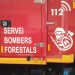 novelda-bomberos-forestales-limpieza-abril-2020