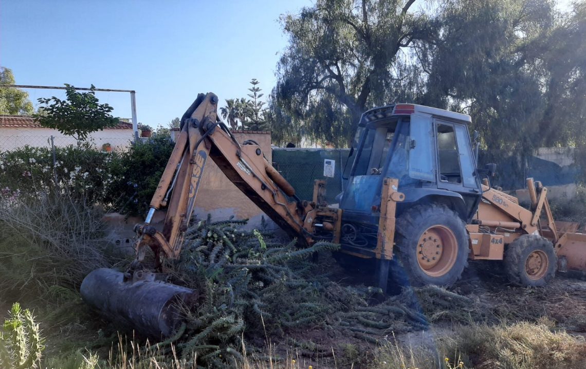 Medio Ambiente retira más de 10 toneladas de cactus Cylindropuntia del cauce del río en Novelda