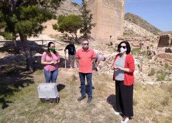 Se inician las obras de accesibilidad del interior del Castillo de la Mola de Novelda