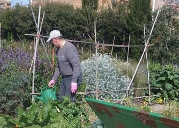 novelda-huertos-ecologicos-mayo-2020-4