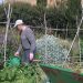 novelda-huertos-ecologicos-mayo-2020-4