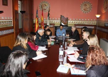 novelda-mesa-accesibilidad-febrerp-2019