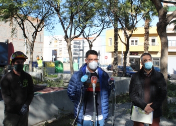 Novelda inicia la campaña anual de poda del arbolado municipal