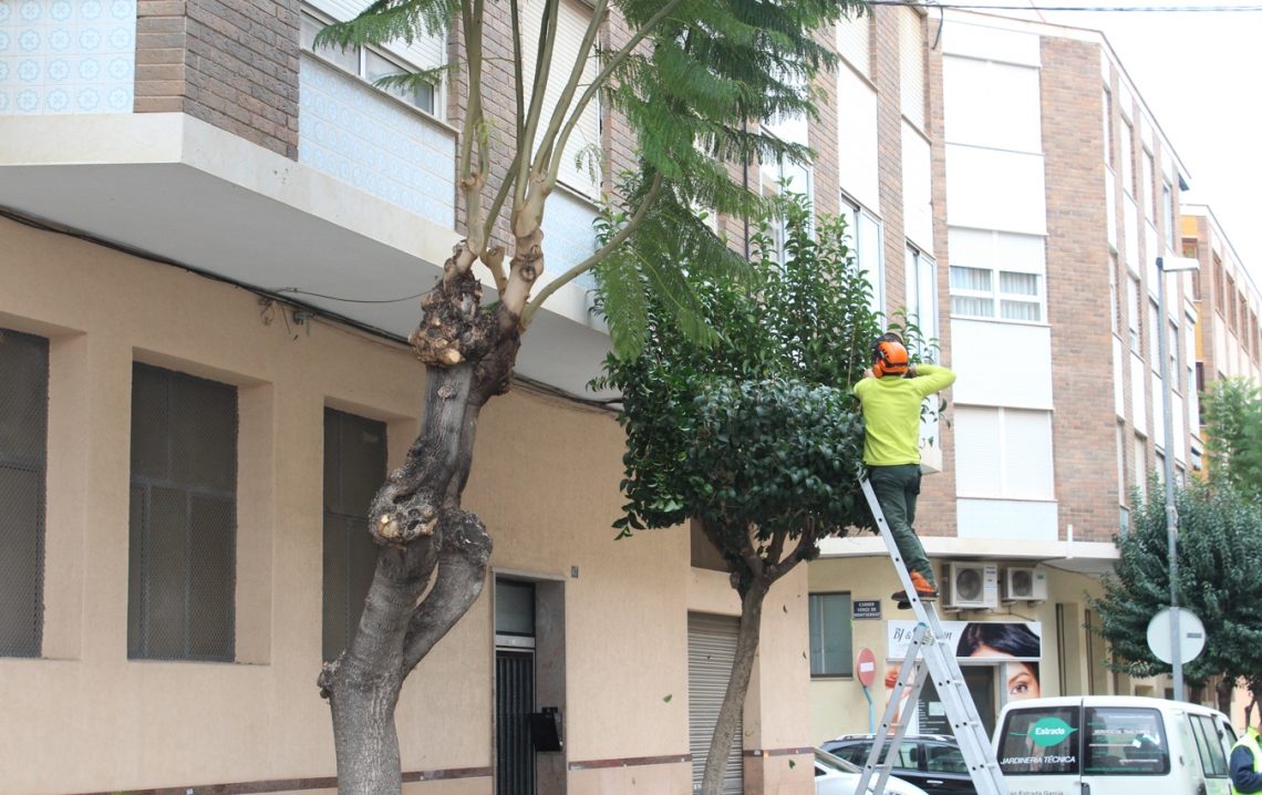 novelda-poda-noviembre-2019-4