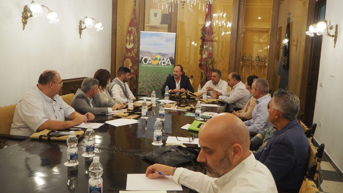 origuela-cluster-octubre-2019