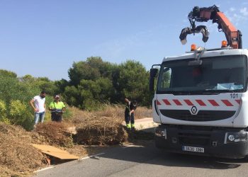 Limpieza Viaria y RSU aumenta la dotación de camiones para la recogida de podas en temporada alta