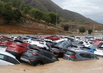 orihuela-campa-grupo-marcos-efectos-de-la-dana-octubre-2019