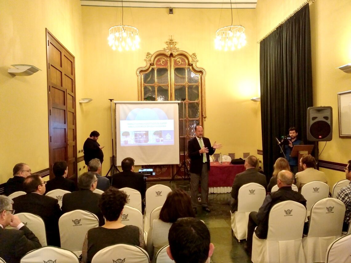 orihuela-cluster-viabilidad-marzo-2019