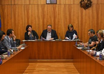 orihuela-consejo-escolar-marzo-2020