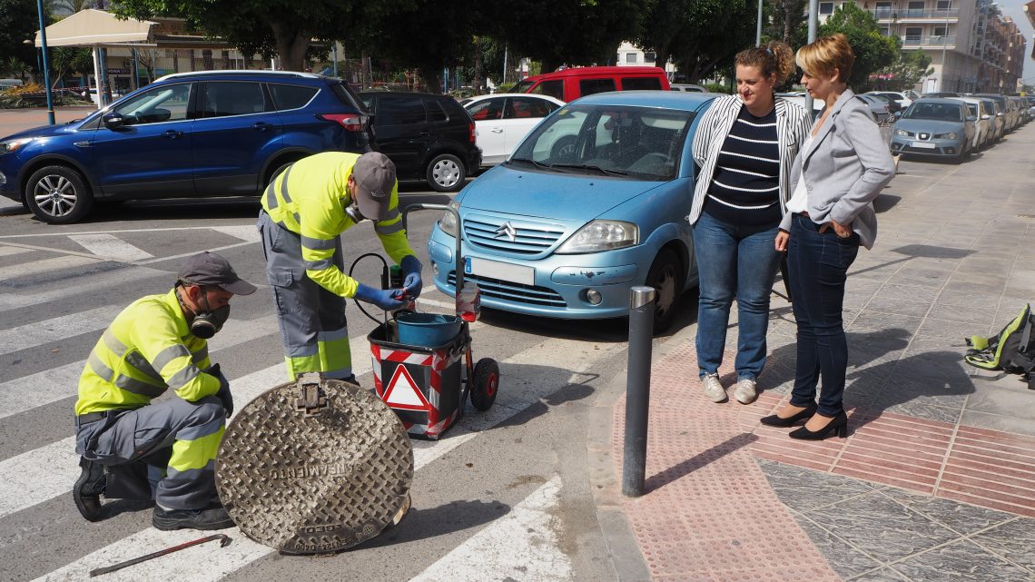 orihuela-control-de-plagas-mayo-2019