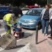 orihuela-control-de-plagas-mayo-2019