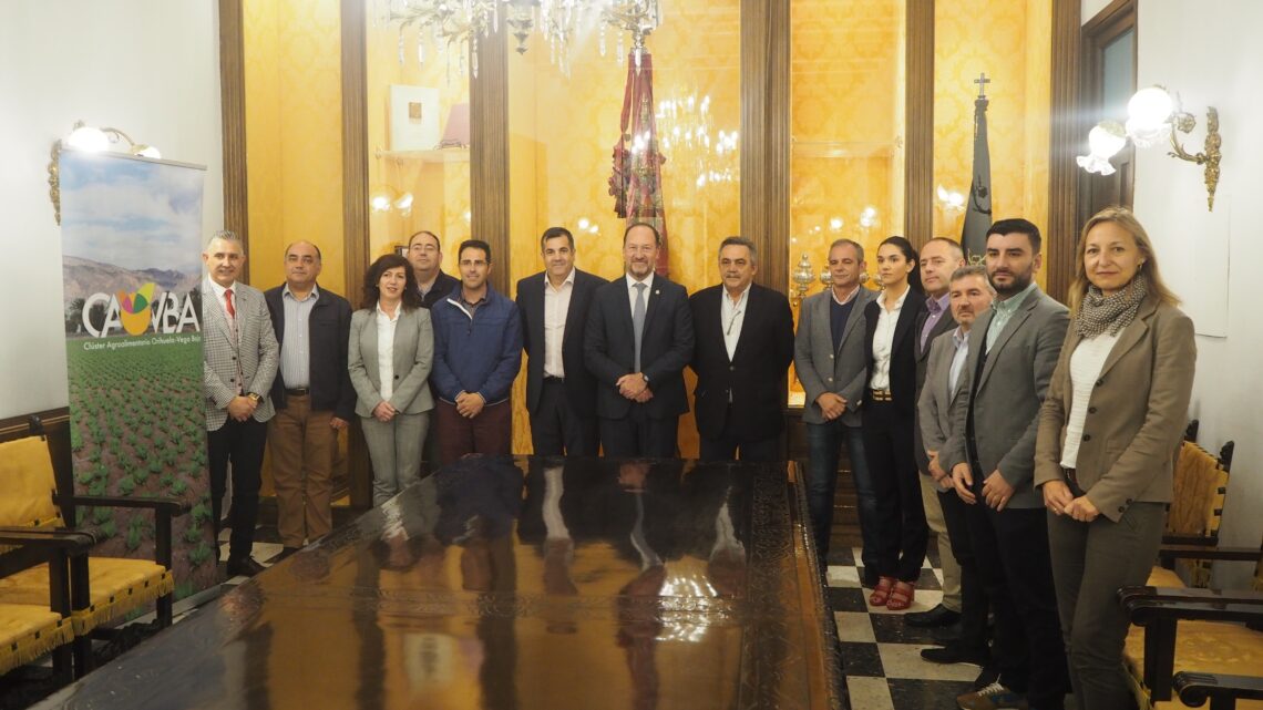 orihuela-creacion-junta-rectora-aso-cluster-abril-2019