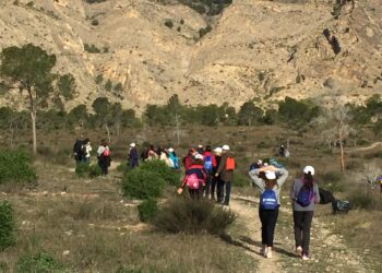 orihuela-dia-arbol-febrero-2019