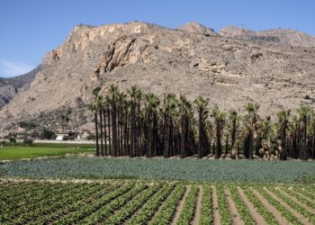 orihuela-hidraqua-febrero-2019
