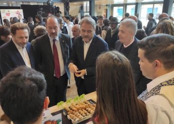 orihuela-jornadas-new-food-diciembre-2019-1