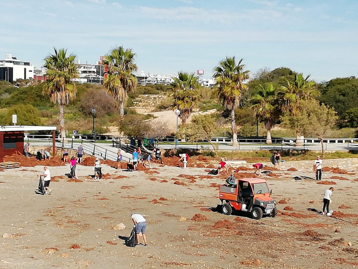 orihuela-limpieza-playas-febrero-2020-2