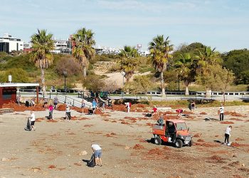 orihuela-limpieza-playas-febrero-2020-2