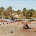 orihuela-limpieza-playas-febrero-2020-2