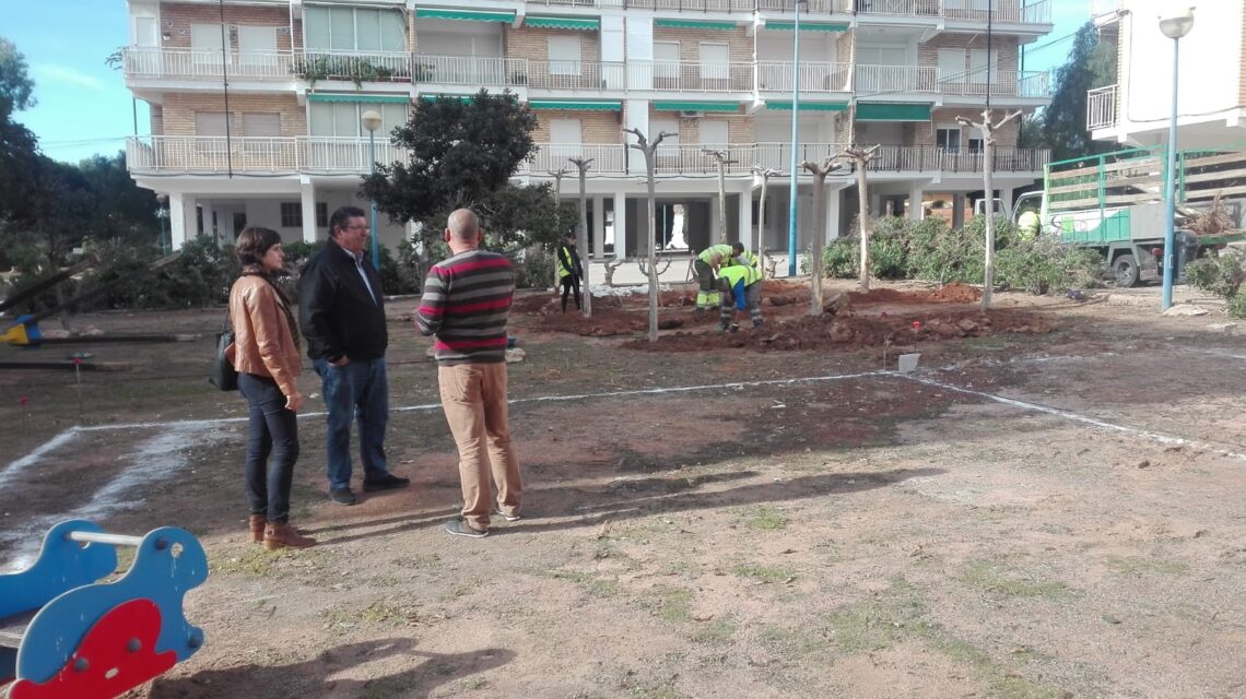 orihuela-obra-jardines-punta-prima