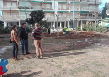 orihuela-obra-jardines-punta-prima