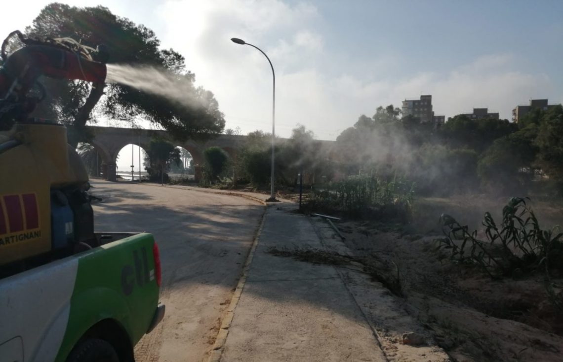 orihuela-plagas-enero-2020