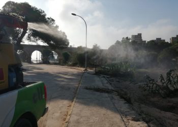 orihuela-plagas-enero-2020