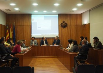 orihuela-pleno-mesas-electorales-octubre-2019