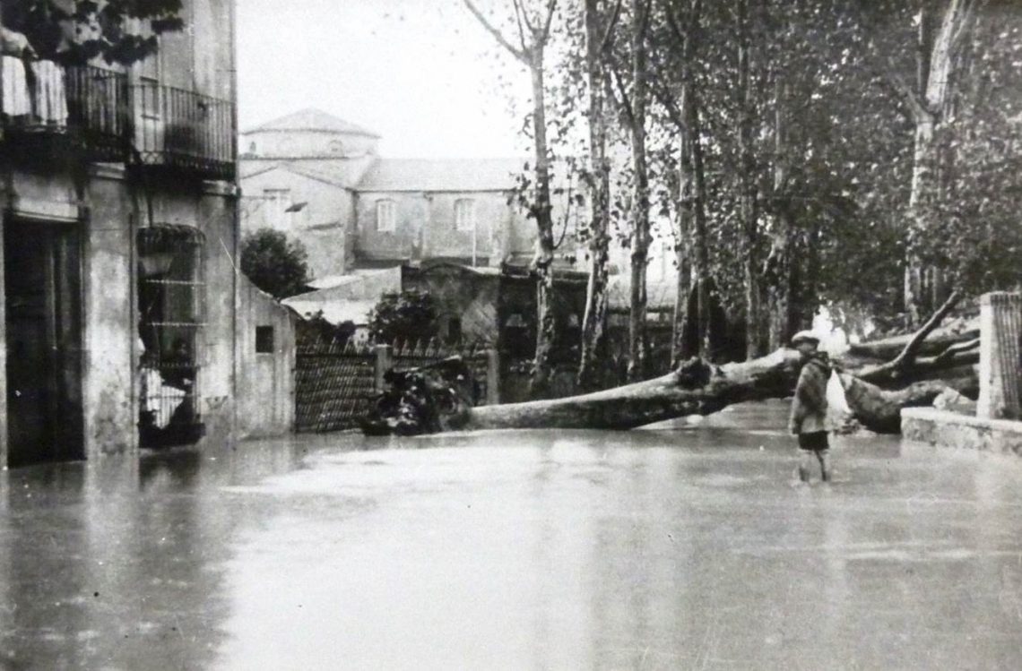 orihuela-rajullaera-el-lobo-y-la-oveja-enero-2020-3