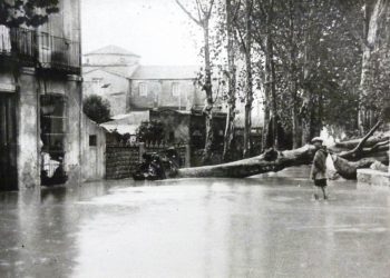 orihuela-rajullaera-el-lobo-y-la-oveja-enero-2020-3