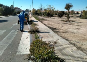 Retirada de restos vegetales y de fumigación de los viales en Orihuela Costa