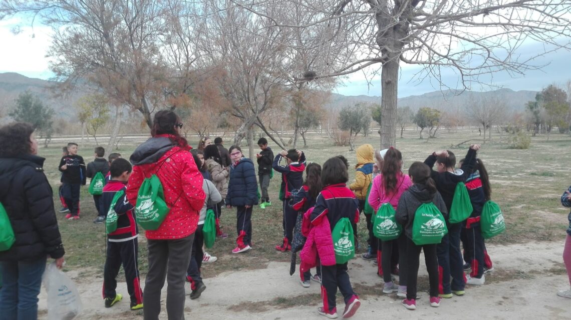 orihuela-ruta-guiada-norias-gemelas-febrero-2019