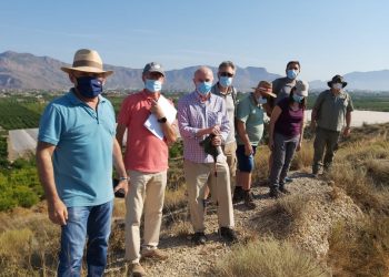 Patrimonio Histórico inicia los trabajos previos a la excavación del Yacimiento de Los Saladares