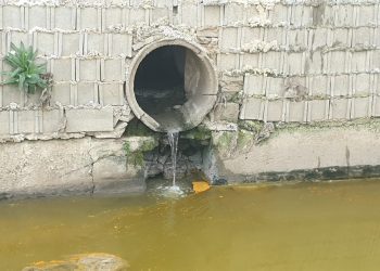 orihuela-vertidos-contaminantes-al-rio-abril-2020