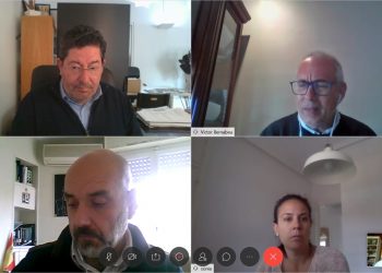 orihuela-videoconferencia-camara-ayuntamiento-abril-2020