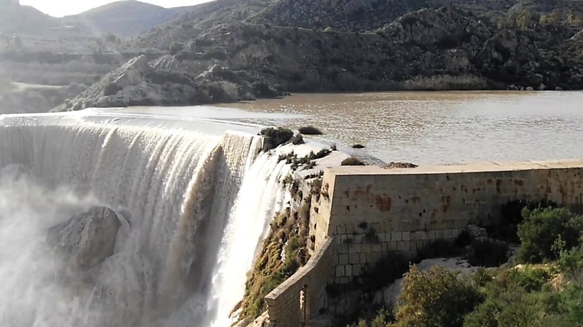 Un proyecto de biodiversidad estudia y protege la flora y fauna del pantano de Elche
