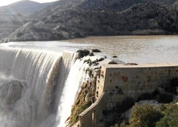 Un proyecto de biodiversidad estudia y protege la flora y fauna del pantano de Elche