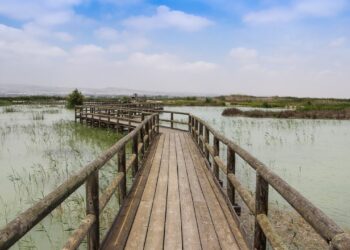 parque-natural-del-hondo-crevillent