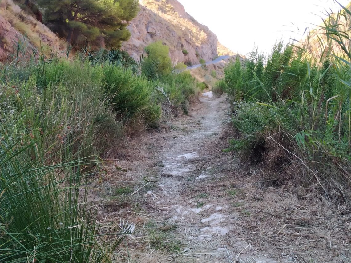 Petrer acondiciona la Rambla de Puça y de Caprala