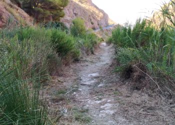 Petrer acondiciona la Rambla de Puça y de Caprala