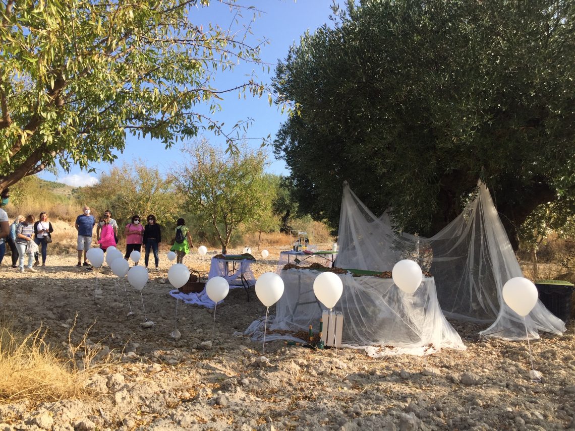 Petrer retoma con medidas de seguridad el programa de turismo experiencial “Arraigados”