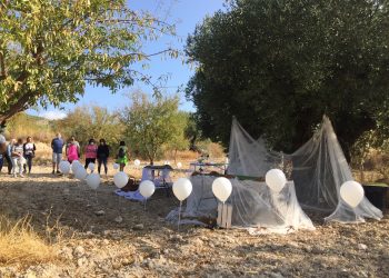 Petrer retoma con medidas de seguridad el programa de turismo experiencial “Arraigados”