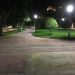 petrer-cambio-luminarias-parque-enero-2020