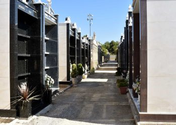 petrer-cementerio-zona-ampliacion-agosto-2019