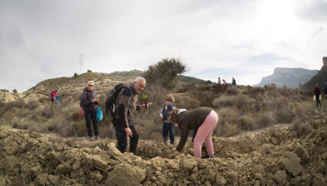 petrer-dia-del-arbol-febrero-2020-1