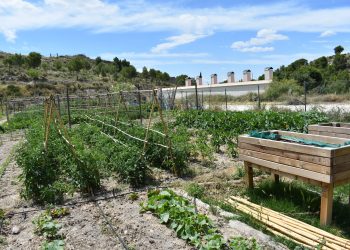 46 vecinos optan a los 16 huertos ecológicos de Petrer