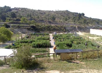 Petrer sortea dieciséis huertos ecológicos en la Finca Ferrusa