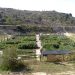 Petrer sortea dieciséis huertos ecológicos en la Finca Ferrusa