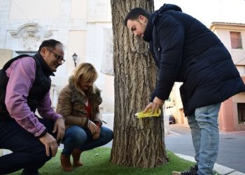El ayuntamiento endurece la ordenanza de los excrementos y el orín de los perros