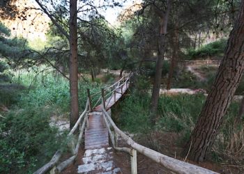 Petrer, un sinfín de oportunidades cerca de ti